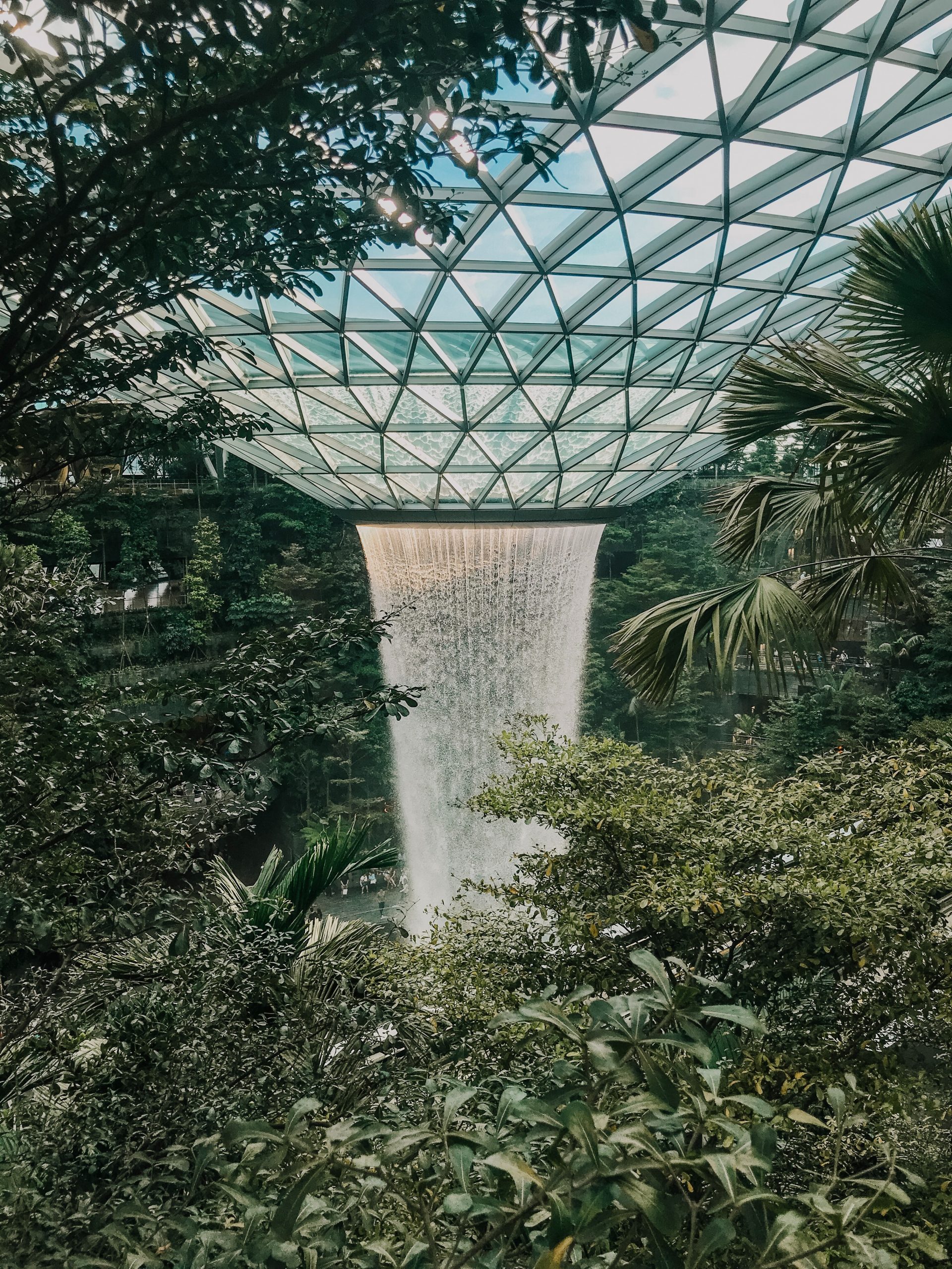 Biophilic Architecture