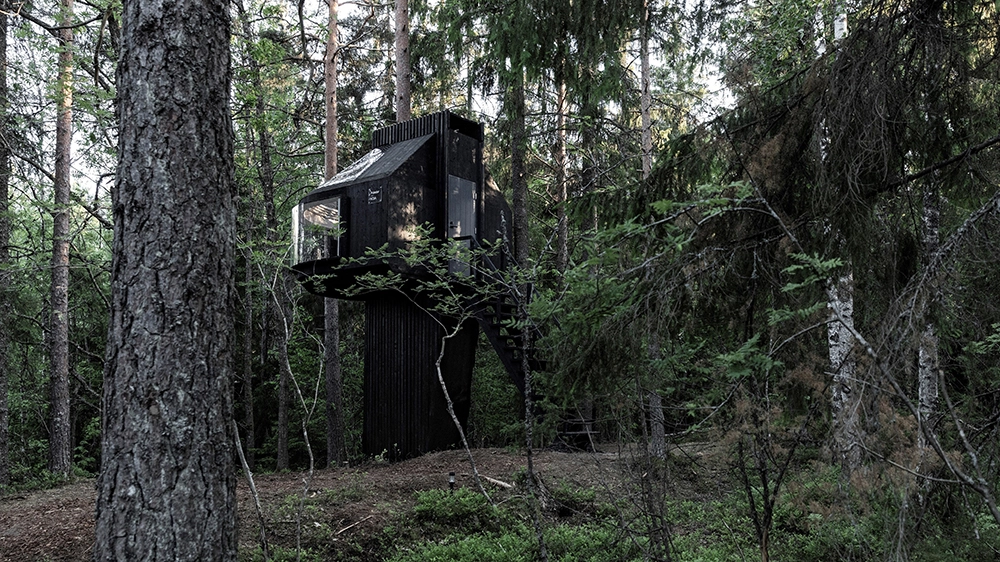 A Spaceship Hut in the Forest