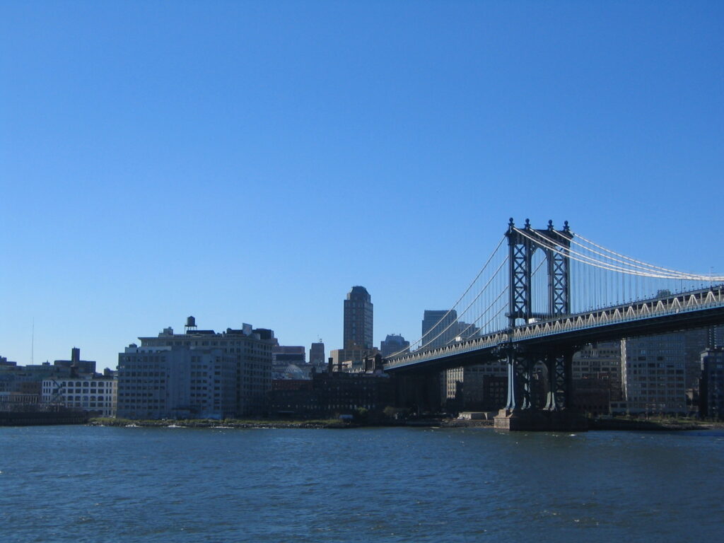110-york-st-brooklyn-ny-11201-i