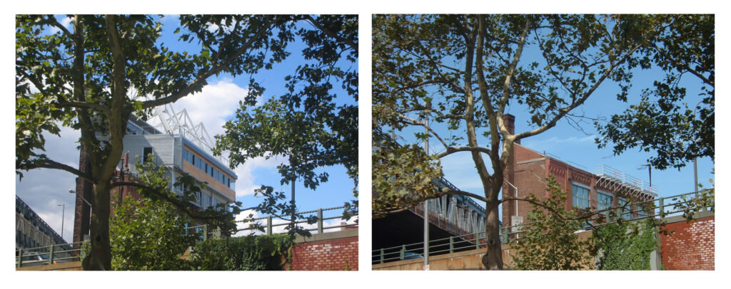 110-york-st-brooklyn-ny-11201-u